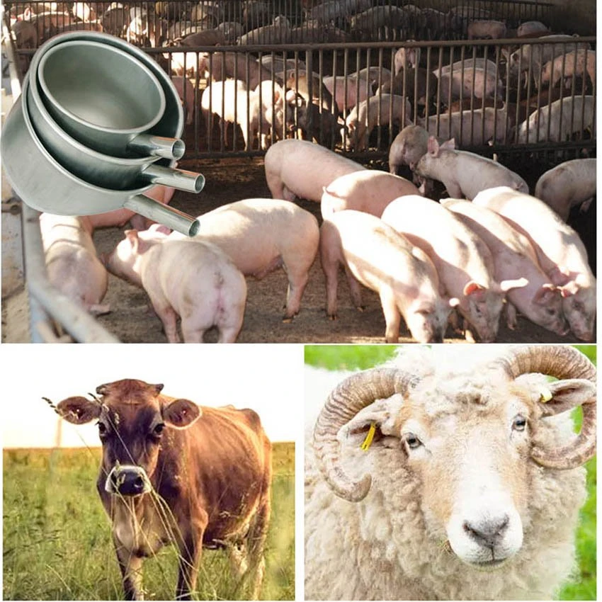 Application of pig drinking water bowl