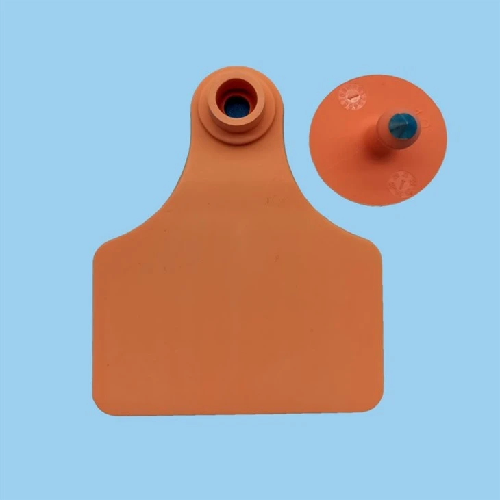 Cow Ear Tag