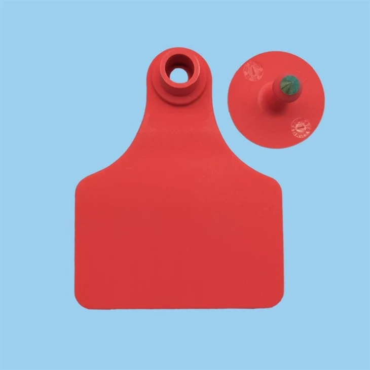 Cow Ear Tag
