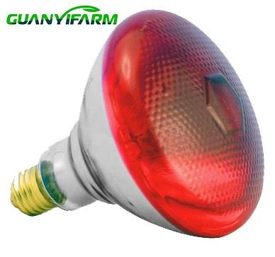 Infrared Heat Lamp